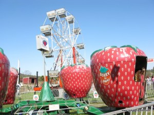 Ferris Wheel at Heaven Hill Farm