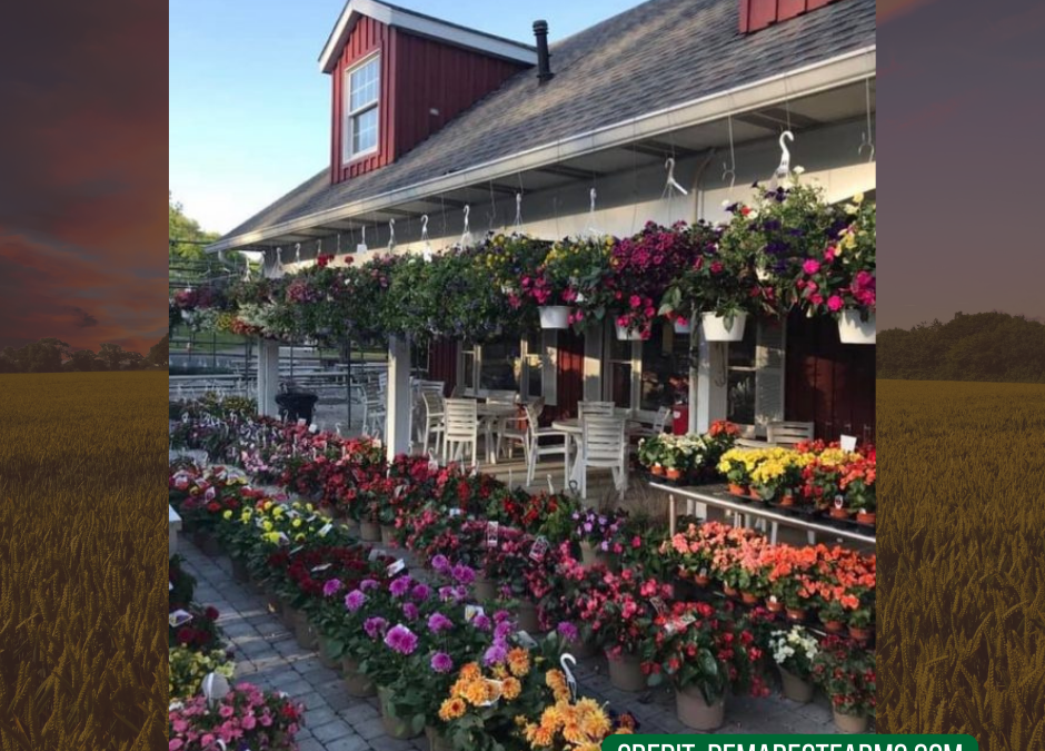 Demarest Farms, Hillsdale, NJ