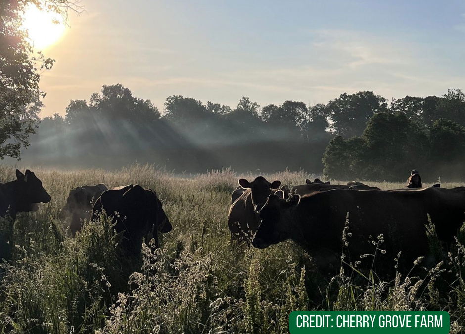 Cherry Grove Farm